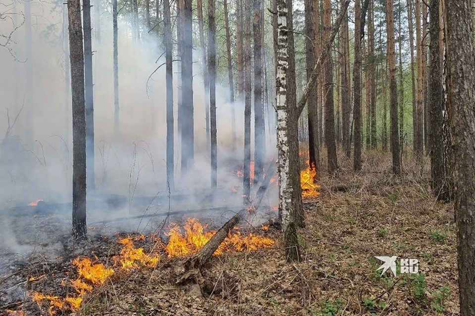 За прошедшие сутки ликвидировано 16 природных пожаров