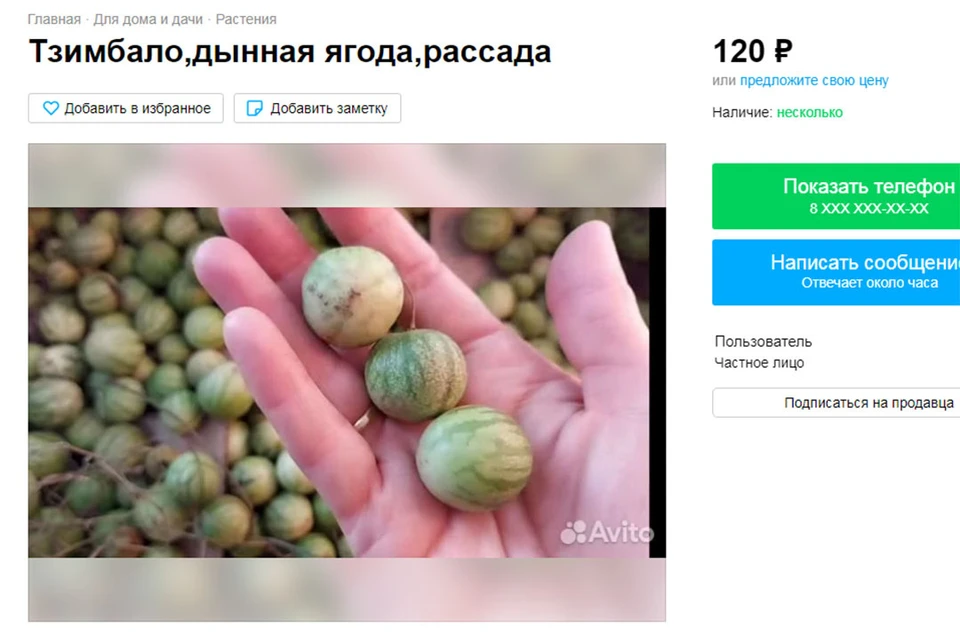 Тзимбало - что-то новенькое для Сибири. Скриншот объявления сайта Авито