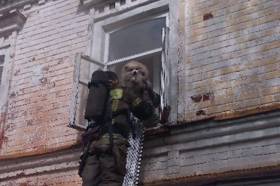 Пожар произошел в многоквартирном жилом доме по улице Гагарина в Семёнове.
