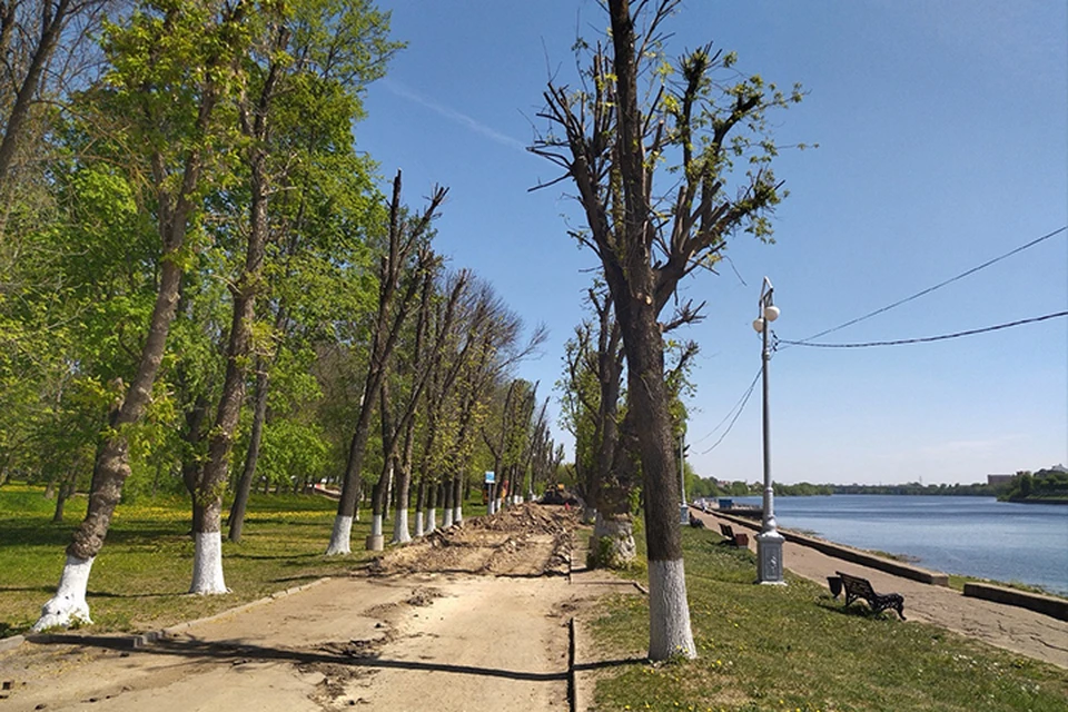 В парке у Политеха начали ремонтировать пешеходную зону.