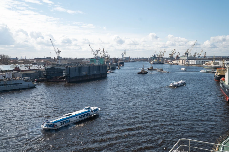 В Петербурге воды рек Нева, Охта и Каменка отравлены тяжелыми металлами