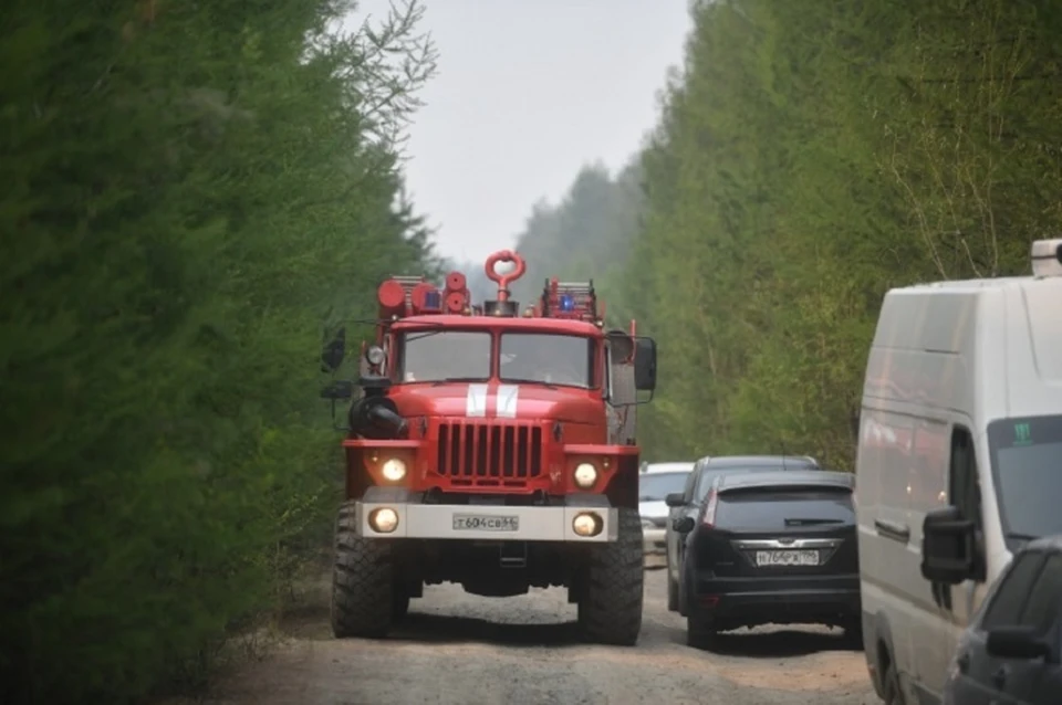 В ЛНР предупредили о высоком классе пожароопасности