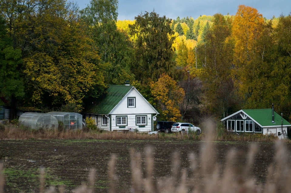 Спрос на загородные дома вырос на 20% за месяц в Ленобласти.