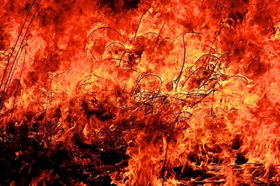 В Волгоградской области пожары будут отслеживать по грозовым молниям