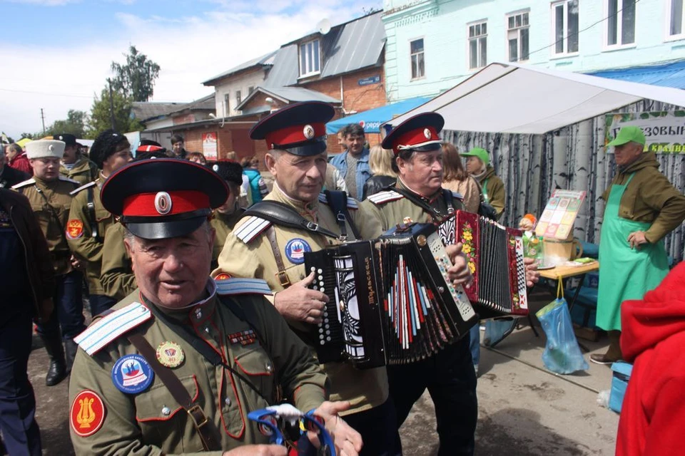 Фестивали Крапивы и «Пестрая Поляна» в этом году в Тульской области отменены