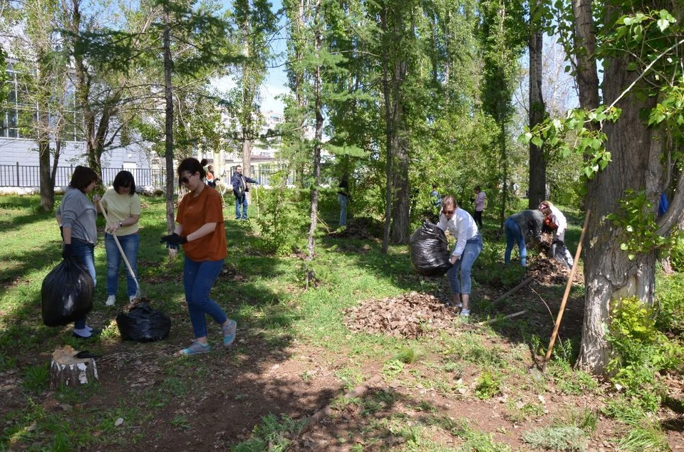 Волонтеры компании очищают берега рек, проводят просветительские акции, сажают деревья.