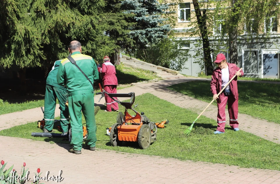 ЦУР и администрация Смоленска проведут прямой эфир на тему уборки и обслуживания городских парков. Фото: пресс-служба администрации города.