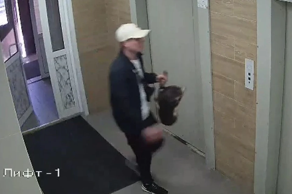 Живодер избил щенка в подъезде жилого дома в Заельцовском районе Новосибирска. Фото: стоп-кадр из видео Стаси