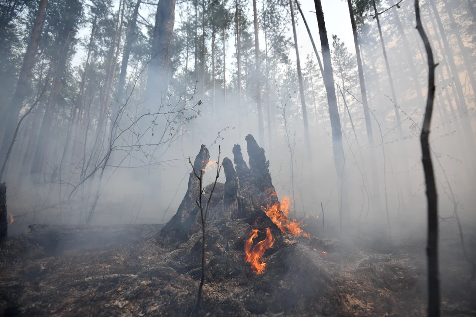Было заведено 59 административных дел за сжигание сухой травы и разведение костров