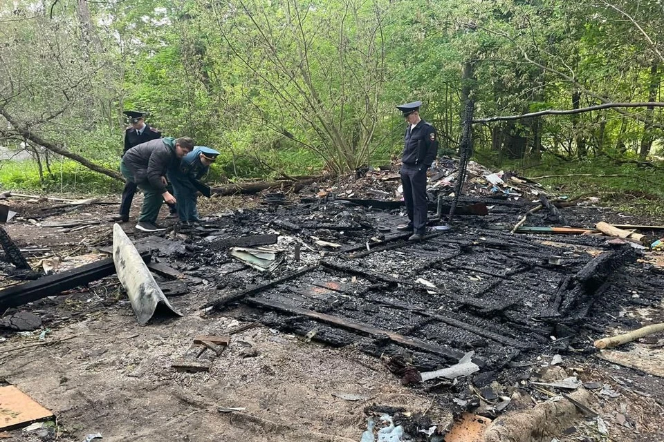 Пожар произошел в поселке Дубовая Роща в Раменском городском округе 19 мая