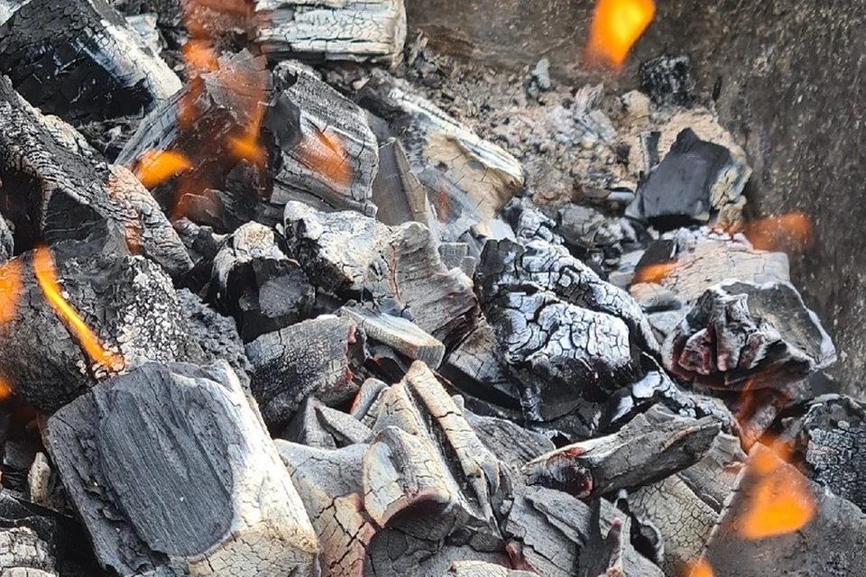 «Бабушки особого назначения» проводят рейды по пожарной безопасности в садовых товариществах Тюмени