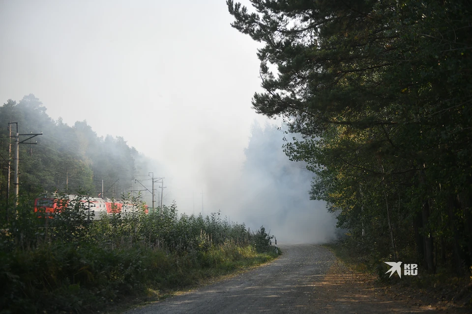 В Свердловской области действует 24 лесных пожара