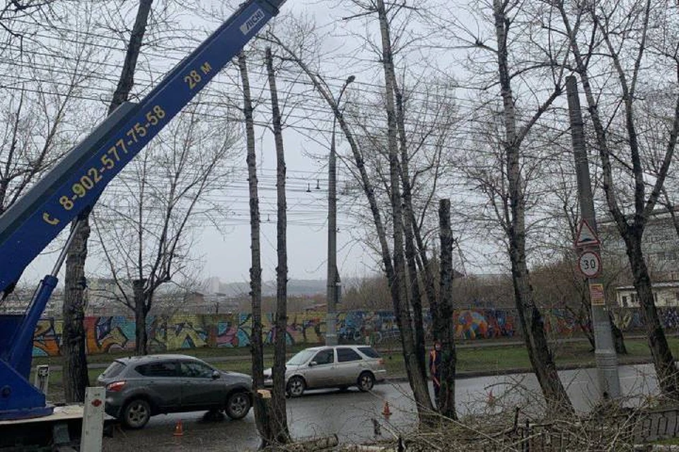 В Иркутске на Академической улице проводят валку деревьев