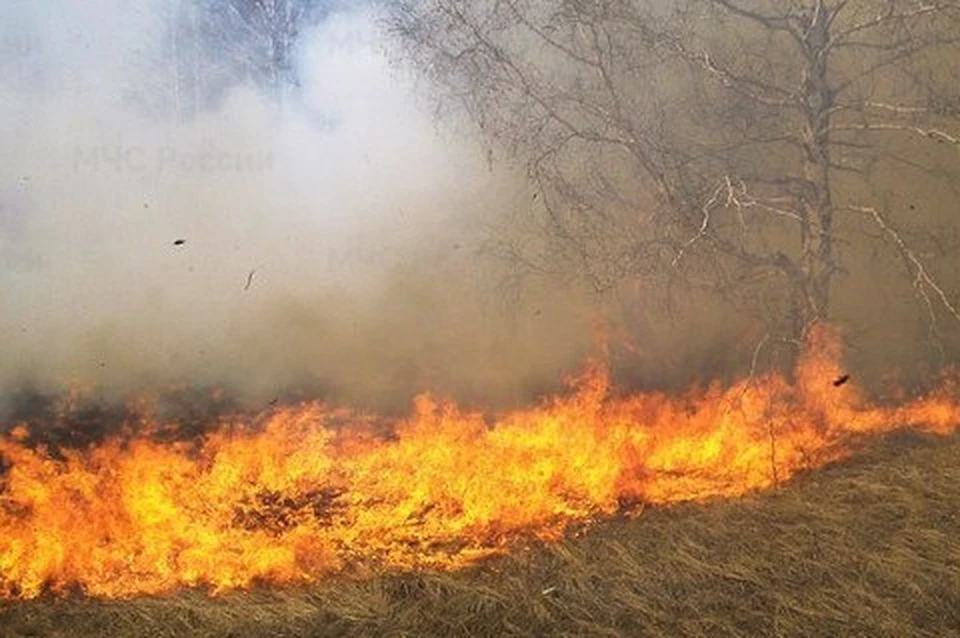 Крупное возгорание сухой травы произошло в планировочном районе Ново-Александровск. Фото: ГУ МЧС РФ по Сахалинской области