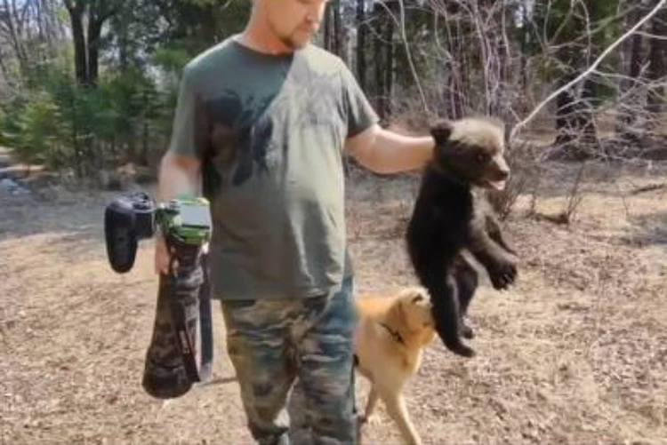«Ему оставалось жить сутки»: собака привела хозяев к истощенному медвежонку во время прогулки в лесу