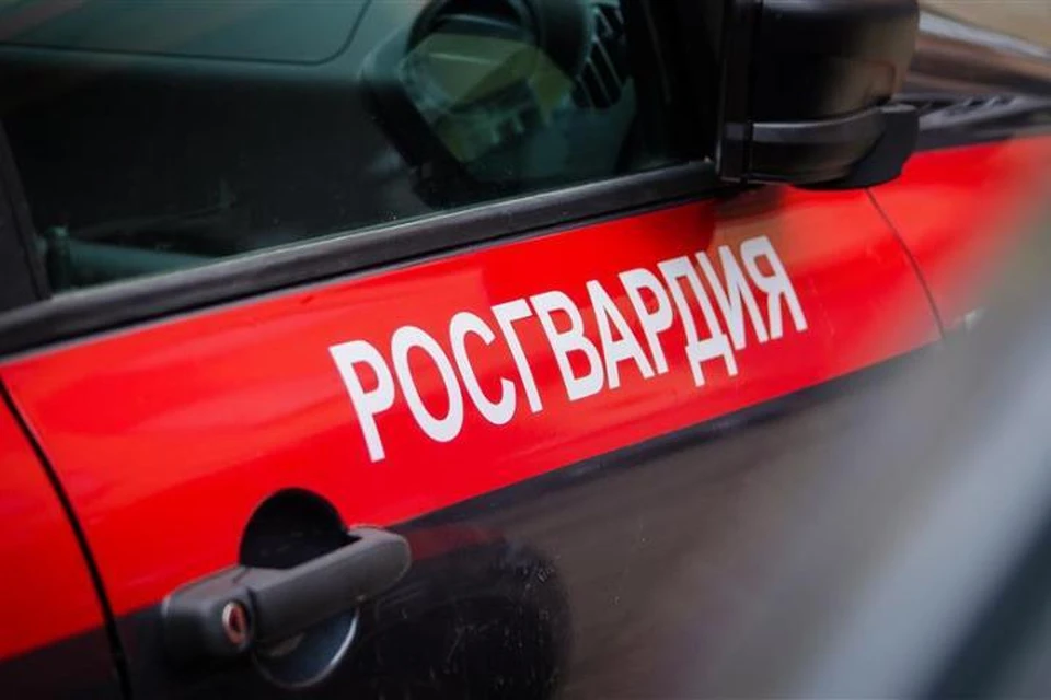 Фото: пресс-служба Управления Росгвардии по Брянской области.