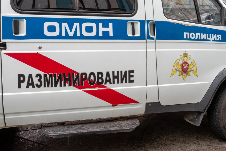 В Ленобласти за два дня нашли 500 патронов времен Великой Отечественной войны