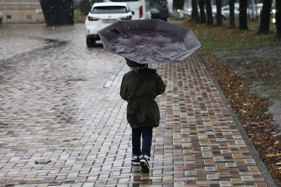 Дожди пройдут в Хабаровске в День защиты детей 1 июня