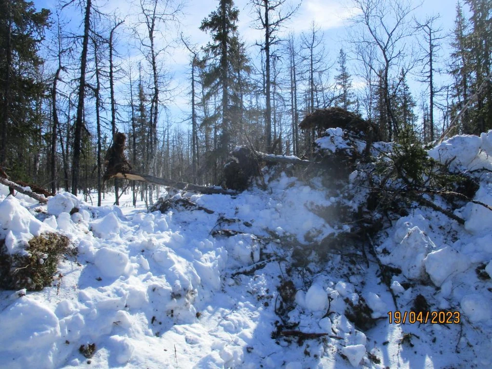 Фото: прокуратура ЯНАО