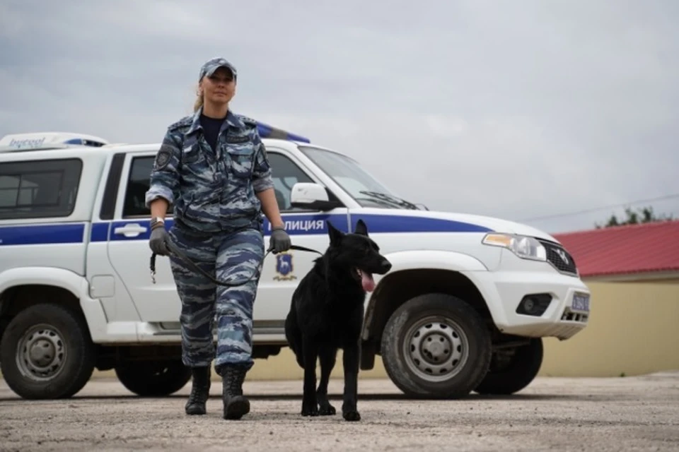 Решается вопрос о возбуждении уголовного дела по статье 161 УК РФ «Грабеж».