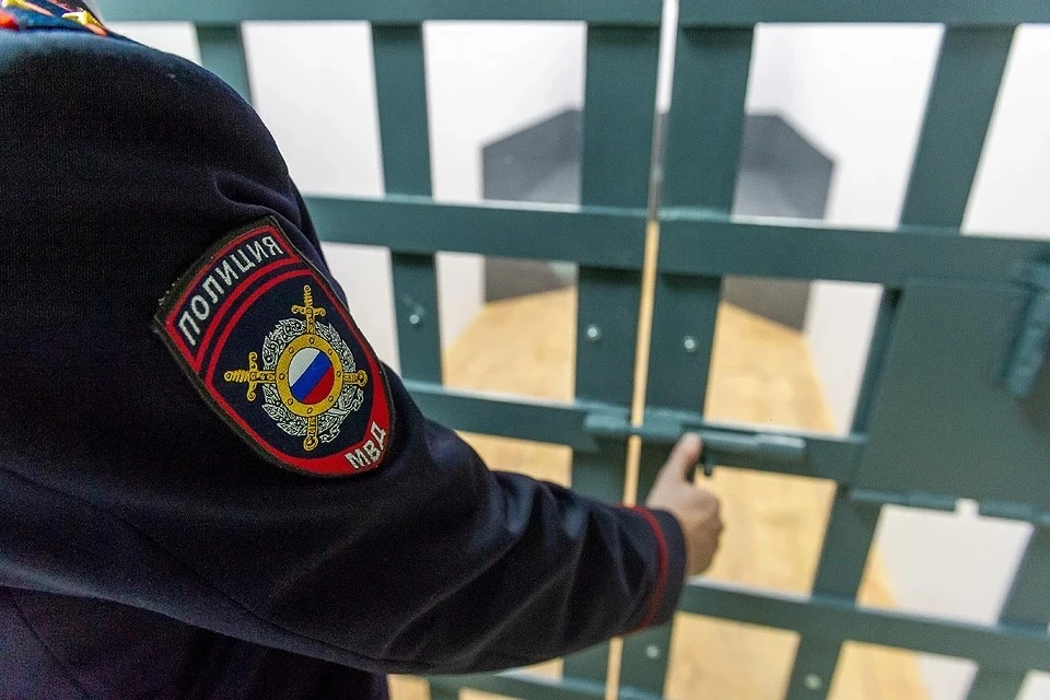 Депутат на Алтае получил 8,5 лет строгого режима за изнасилование ребенка