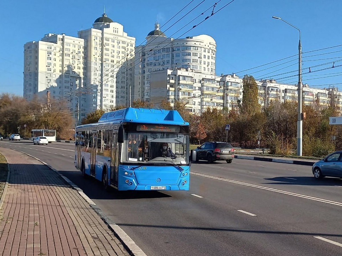 На дорогах Шебекинского округа Белгородской области ввели запрет на  передвижение транспортных средств - KP.RU