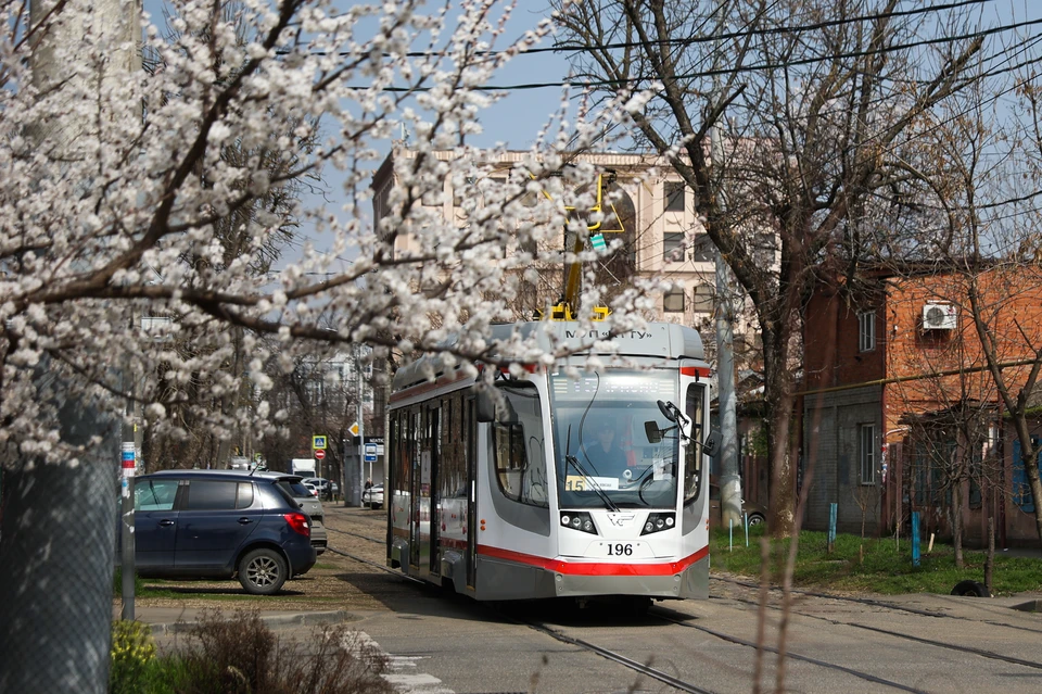 Краснодар