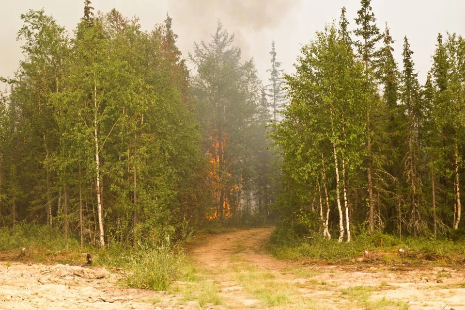 Фото: МЧС России по ЯНАО
