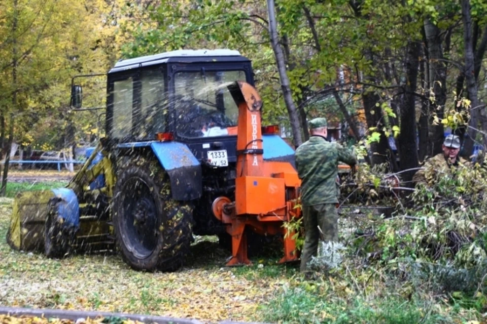 Отключение связано с работами по обрезке деревьев