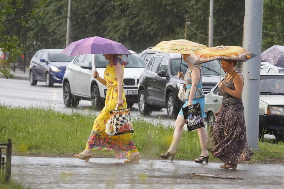 В Новосибирске сегодня дождь.