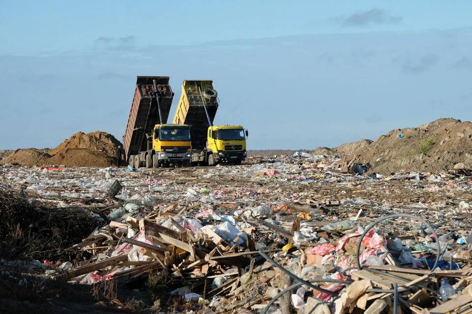 Более 7,5 тонн опасных отходов собрали экослужбы за неделю в Петербурге.