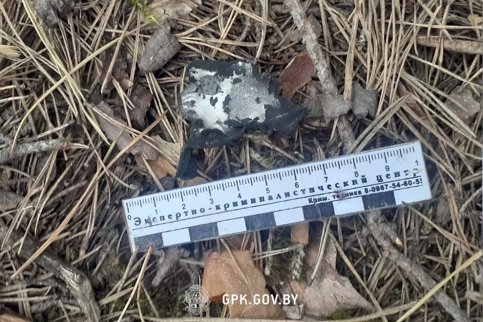Сообщили о сбитом беспилотнике со взрывчаткой в Лоевском районе Гомельщины. Фото: стоп-кадр | видео ГПК