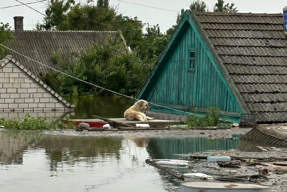 В регионе продолжают бороться с последствиями затоплений