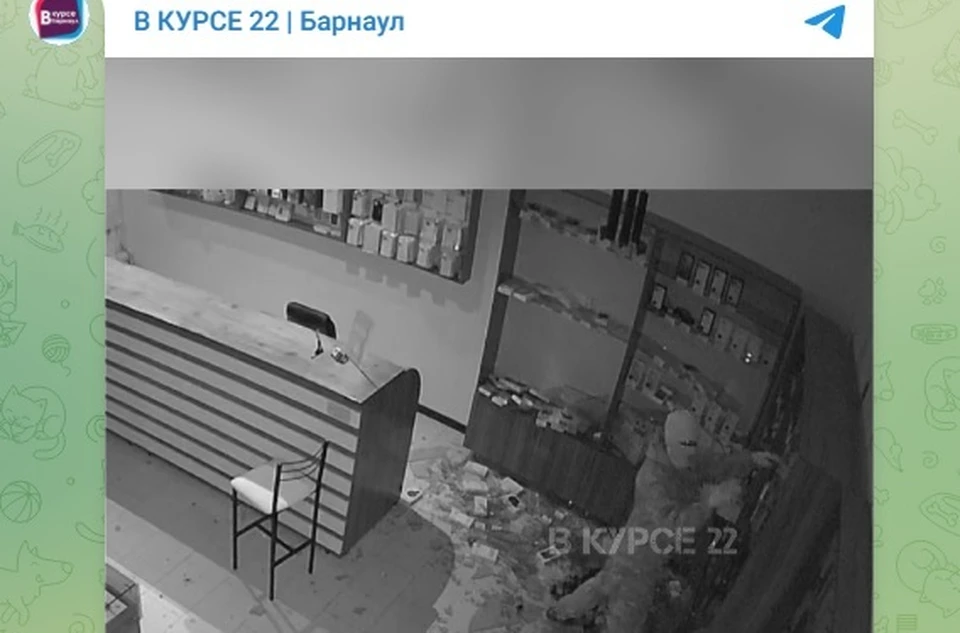 Вора разыскивают. Скриншот поста в телеграм-канале «В курсе22»