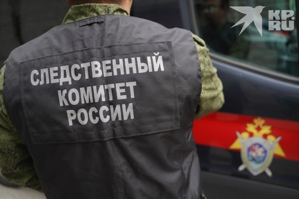 В Турлатове нашли полуразложившийся труп мужчины.