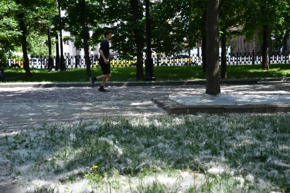 Фото: архив "КП".