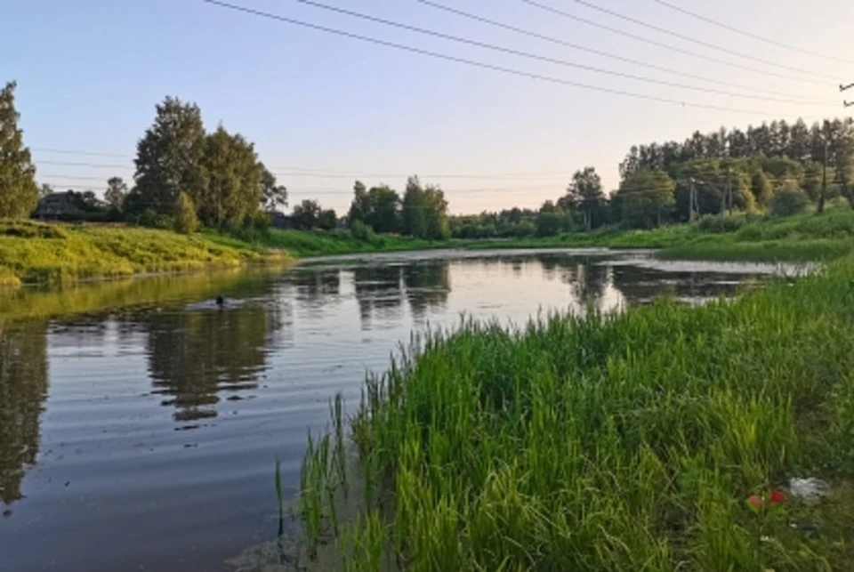 Трагедия произошла на реке Каменка. Фото: СК СР по Тверской области