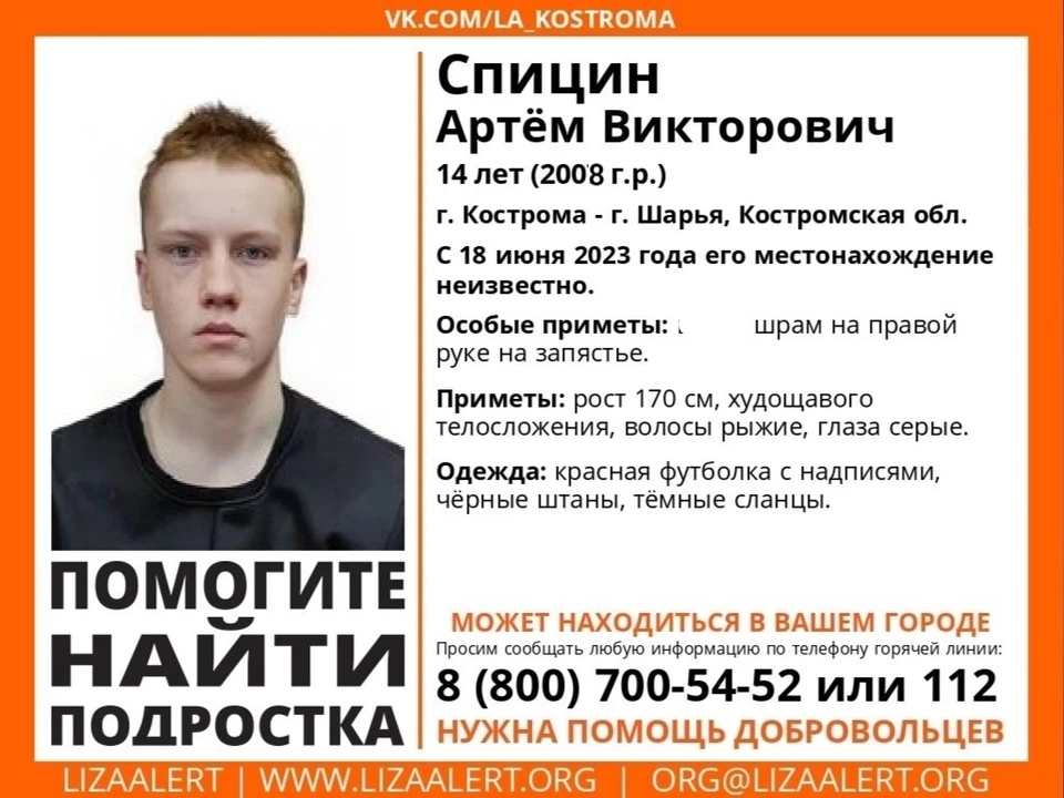 Фото: ЛизаАлерт по Костромской области