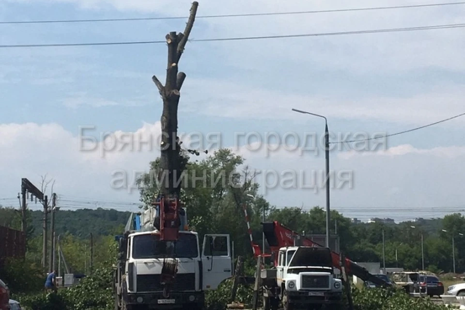 Перекрыто движение брянск сегодня. Тополь в Брянске. Экстренный переезд. Брянск. Новости Брянска.