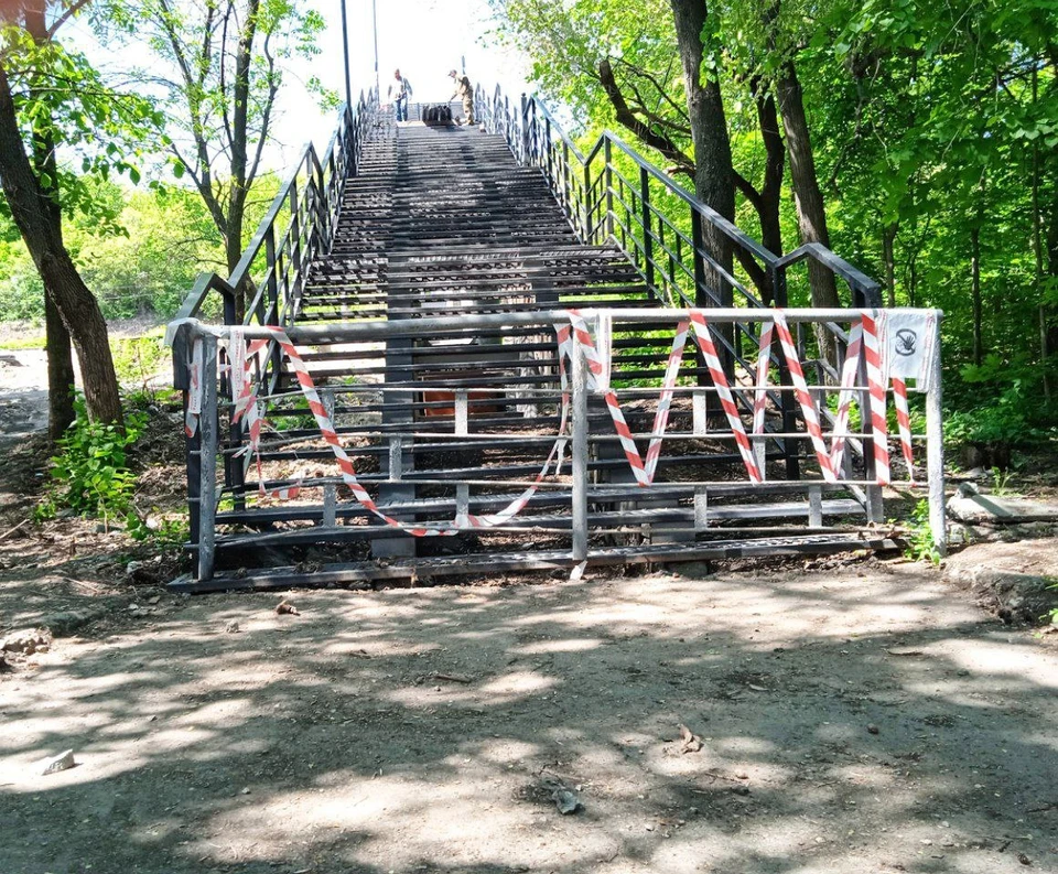 ФОТО: телеграм-канал Симбирский шугожор