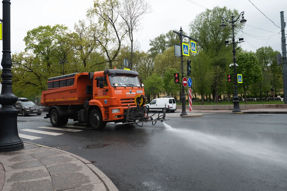 Солнечно и сухо будет в Петербурге 20 июня