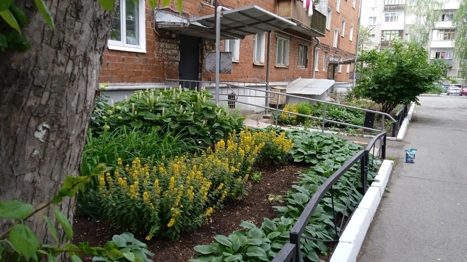 «Цветник героев» во дворе на Улице Кирова. Фото: Ольга Чиркова