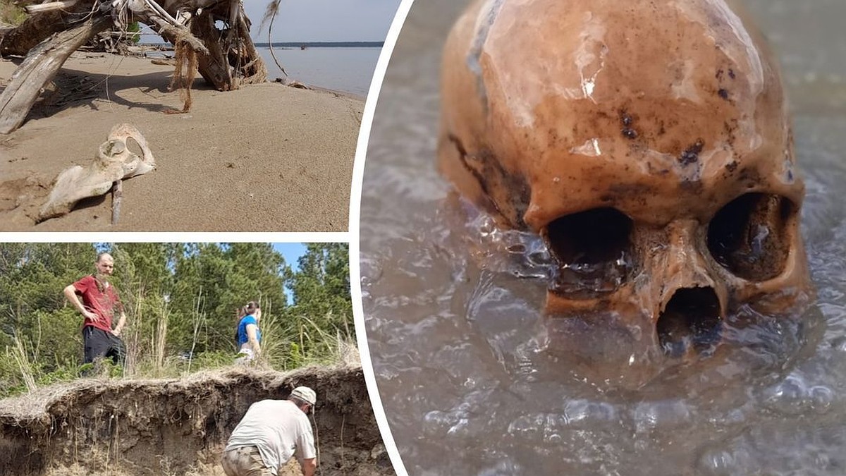 Черепа белеют на берегу»: новосибирское водохранилище размывает кладбище  начала 18 века - KP.RU