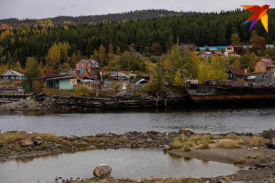 Малыш, которого сняли на видео, был без мамы и бегал у воды.