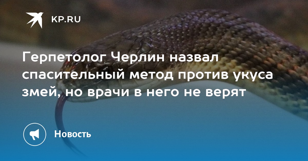 Герпетолог Черлин назвал спасительный метод против укуса змей, но врачи ...