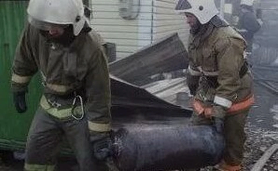 Они находились в зоне распространения огня надворных построек и садовых домов. Фото: МЧС