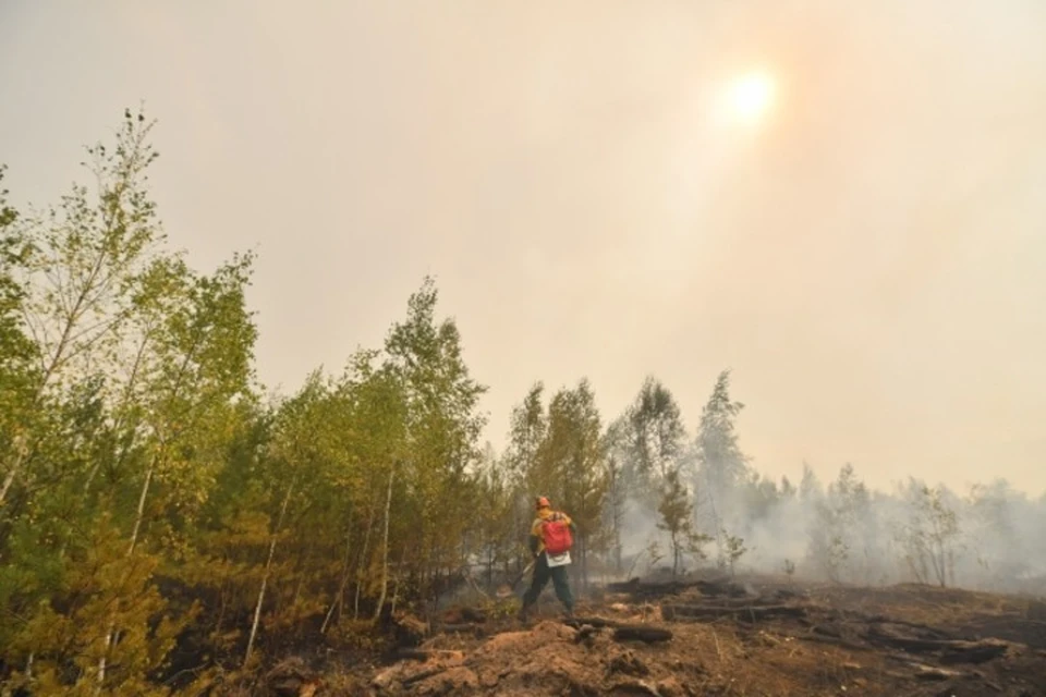 Больше 12 тысяч гектаров леса горит в Хабаровском крае