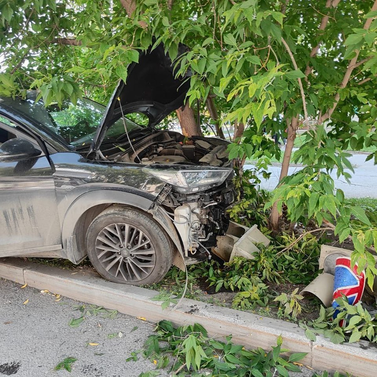 В Екатеринбурге водитель Hyundai Tucson сбил девушку и ее собаку - KP.RU