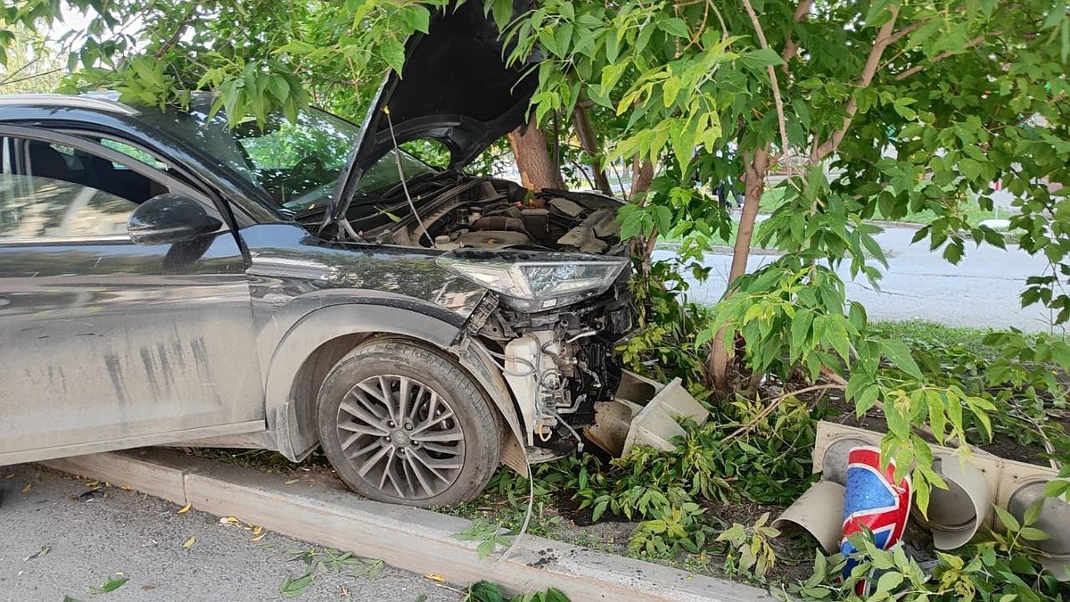 В Екатеринбурге водитель Hyundai Tucson сбил девушку и ее собаку - KP.RU