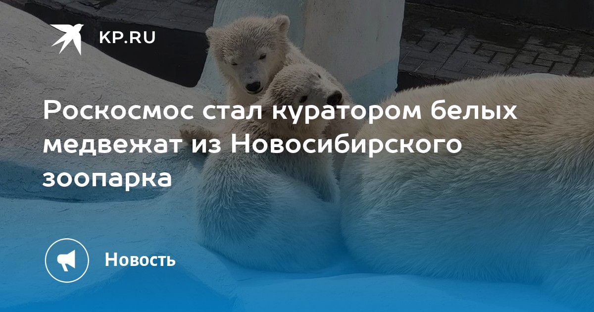 Зоопарк новосибирск пушкинская карта